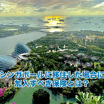 シンガポールに移住した場合に加入すべき保険とは？